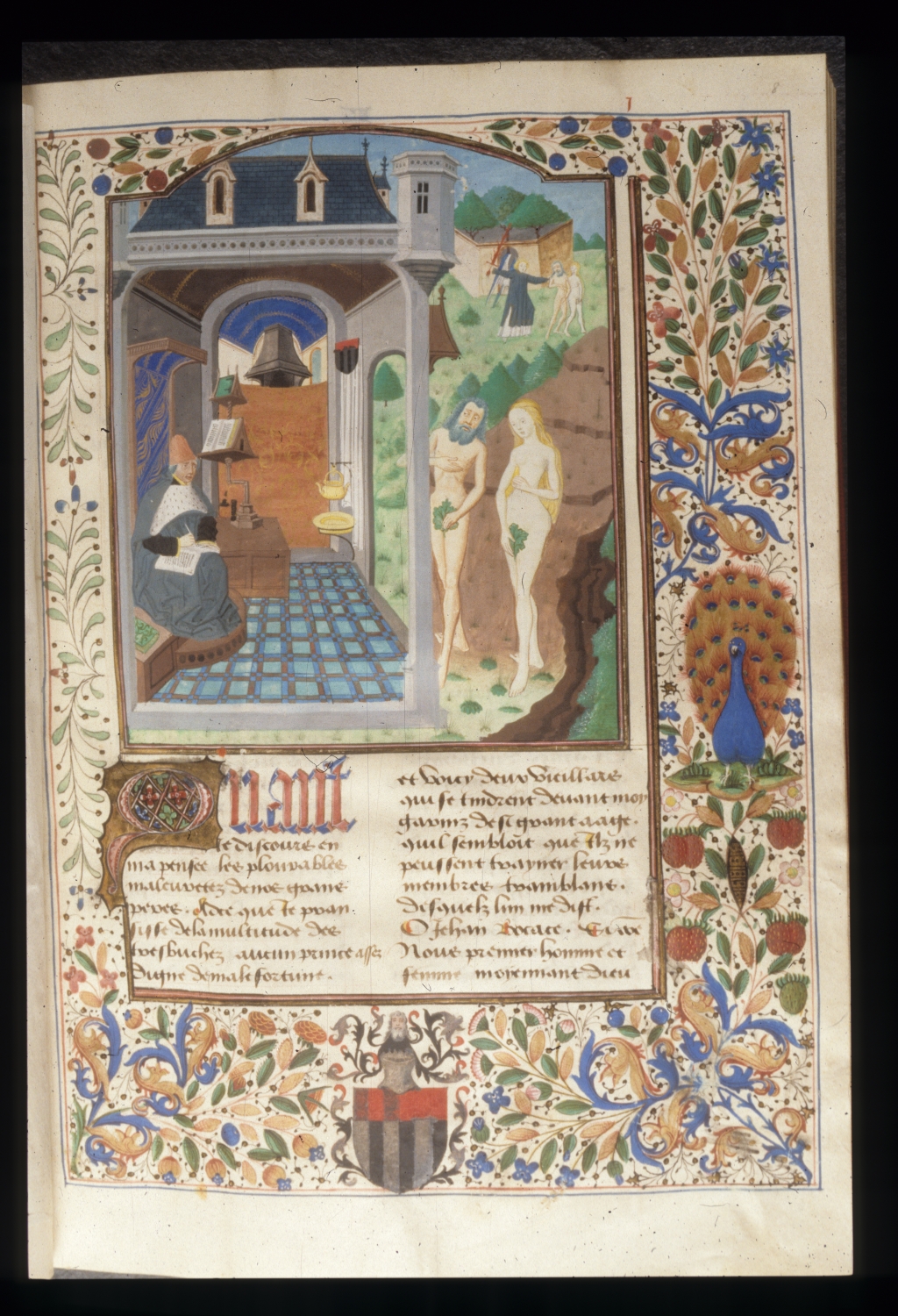 Expulsion from Paradise